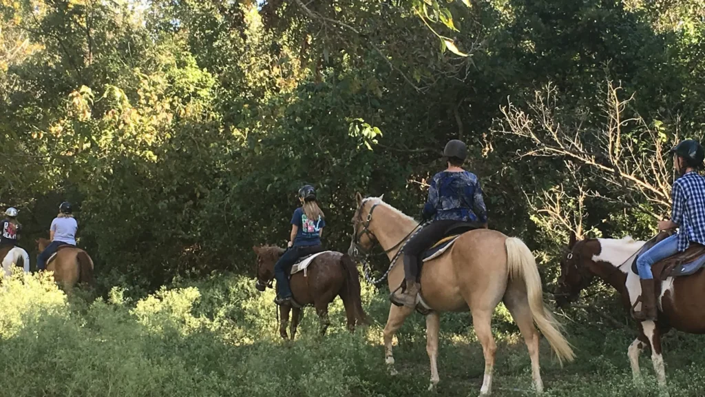 Exploring the Charm of Tri-Star Farm in Hutto, Texas